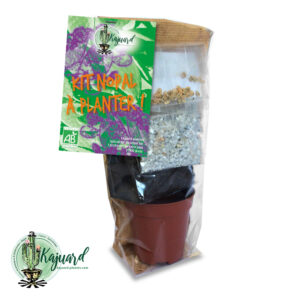 Kit semis graines de nopal bio